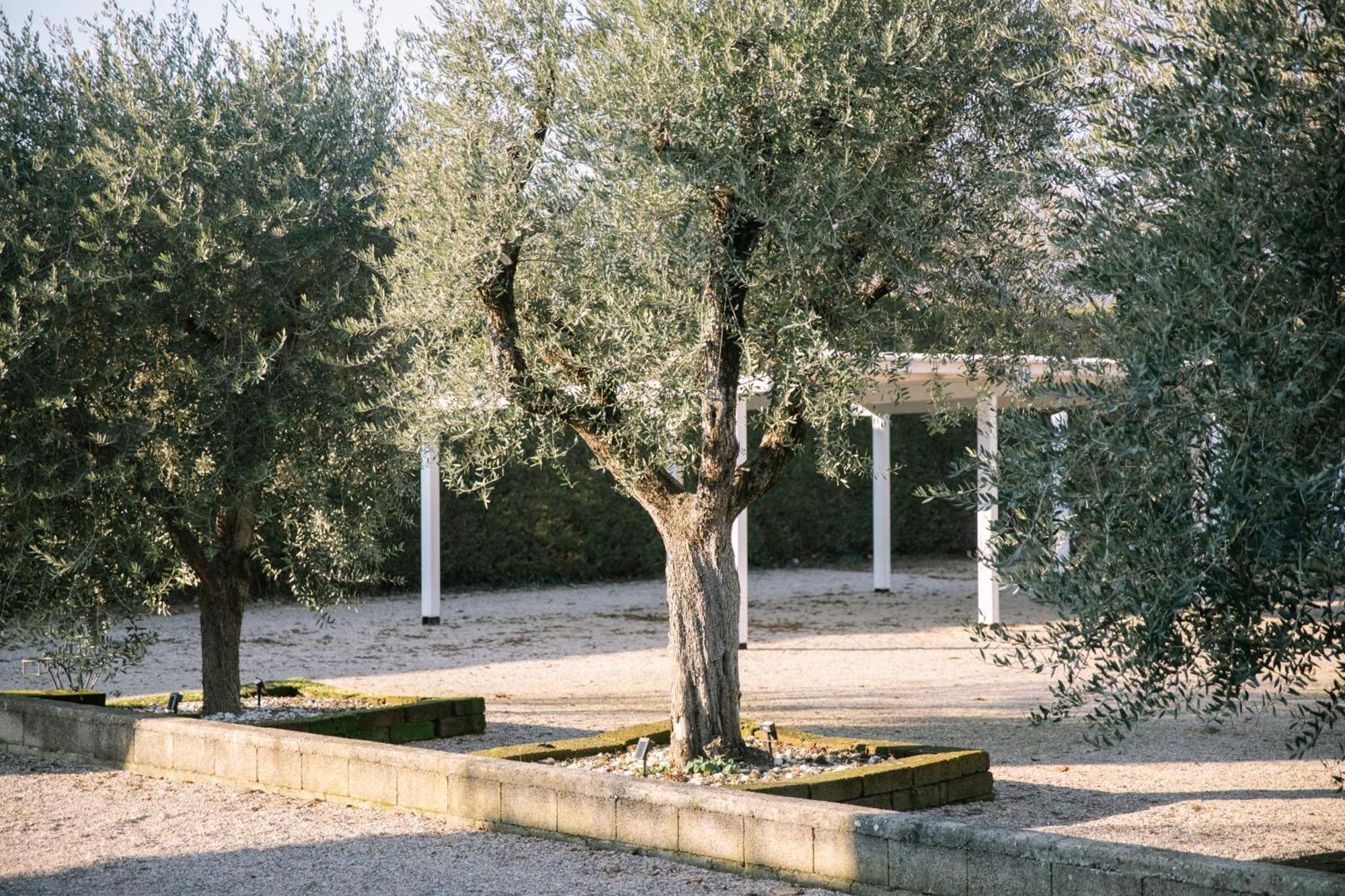Red Carpet Daire Castelnuovo del Garda Dış mekan fotoğraf